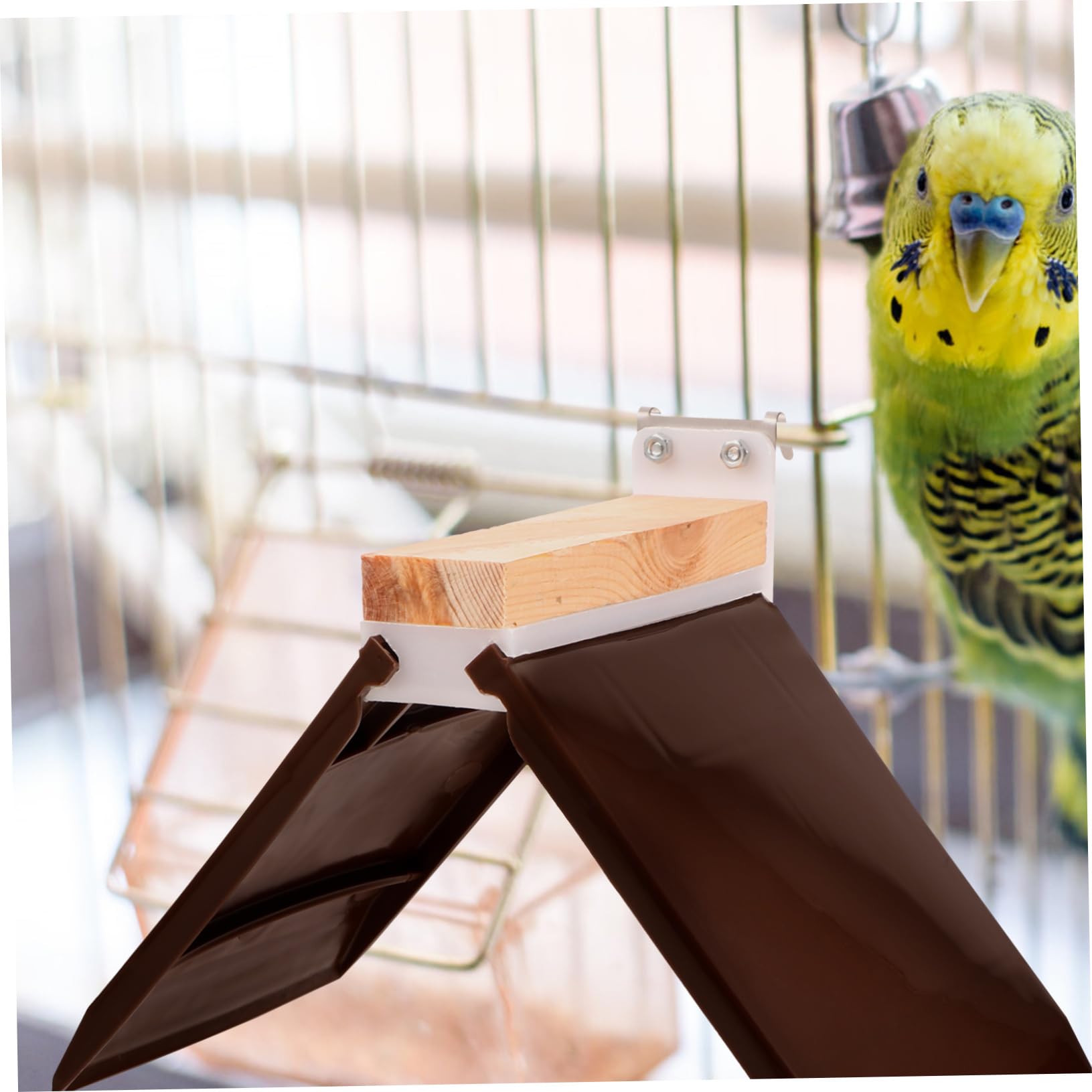 木製 鳥用スタンド バケツ付き